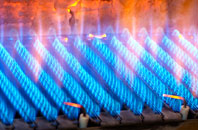 Penbedw gas fired boilers